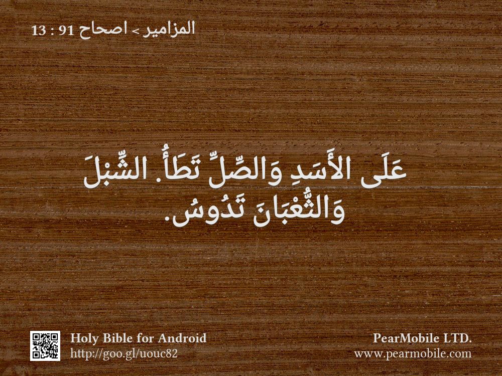 المزامير, اصحاح 91:13