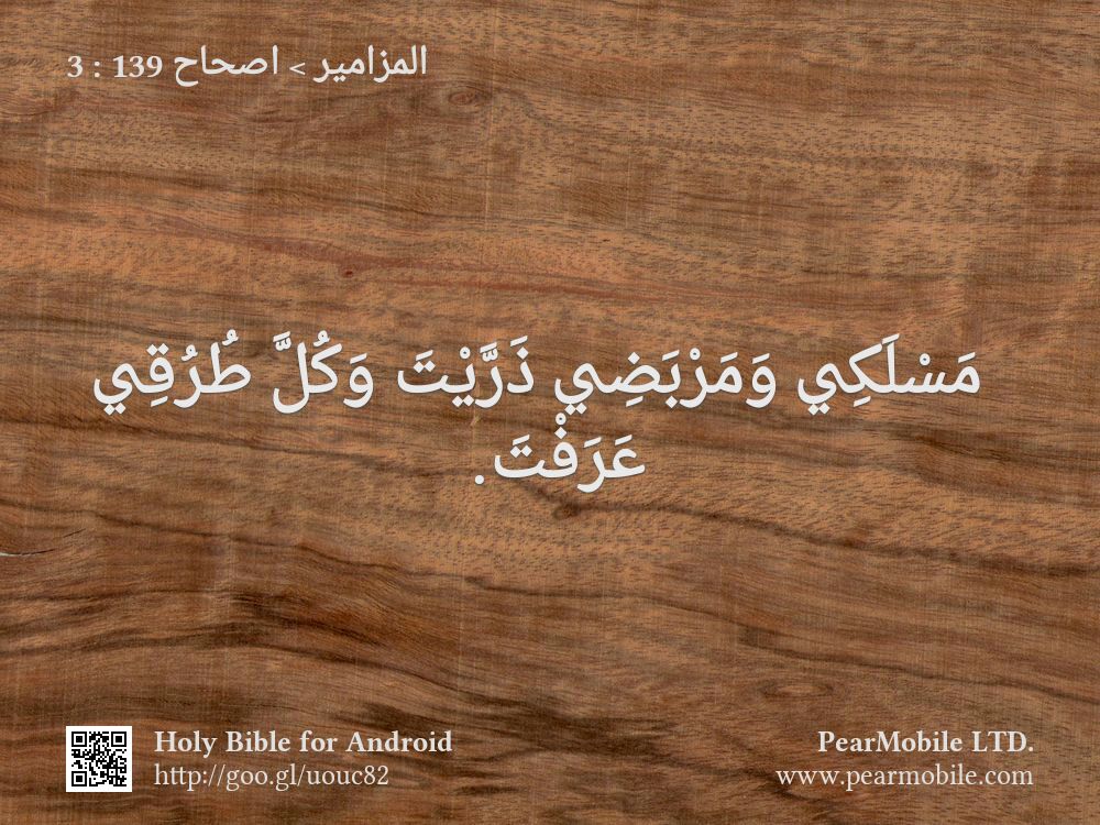 المزامير, اصحاح 139:3
