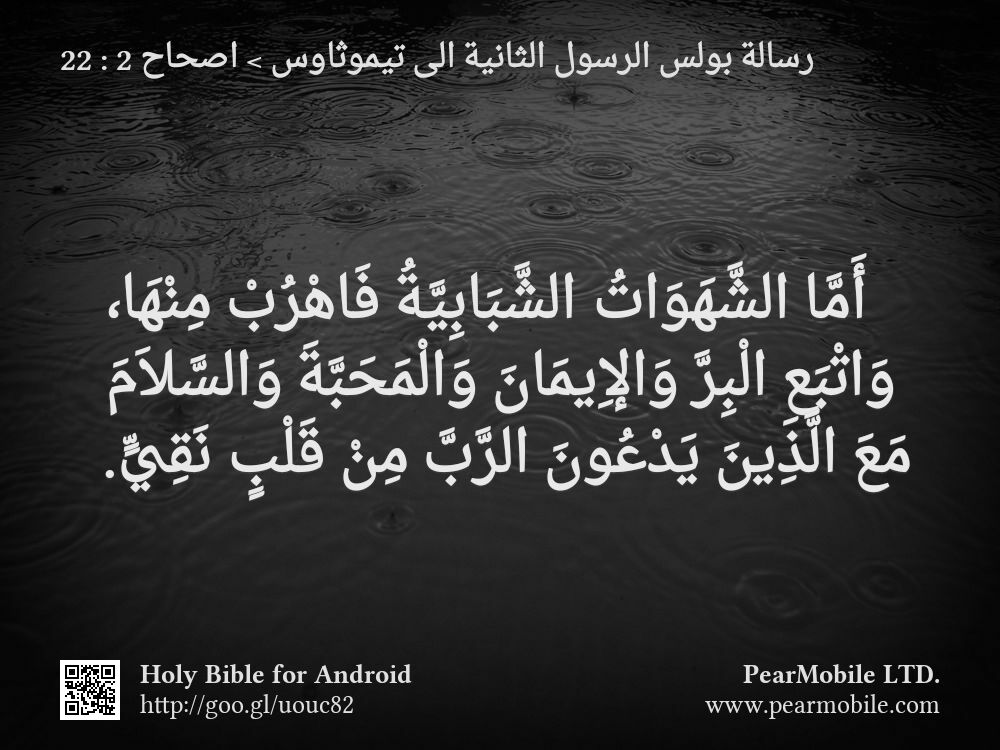 رسالة بولس الرسول الثانية الى تيموثاوس, اصحاح 2:22