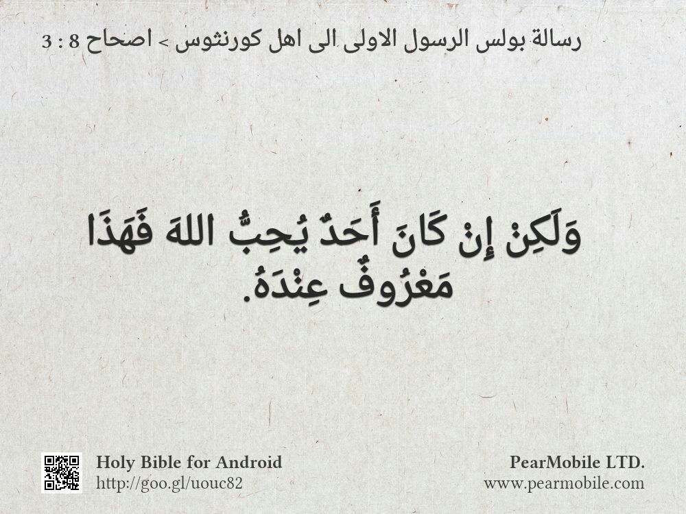 رسالة بولس الرسول الاولى الى اهل كورنثوس, اصحاح 8:3