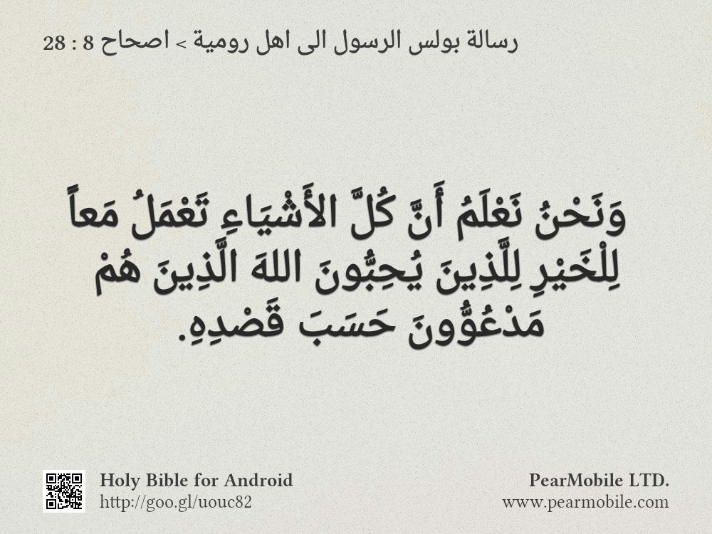 رسالة بولس الرسول الى اهل رومية, اصحاح 8:28