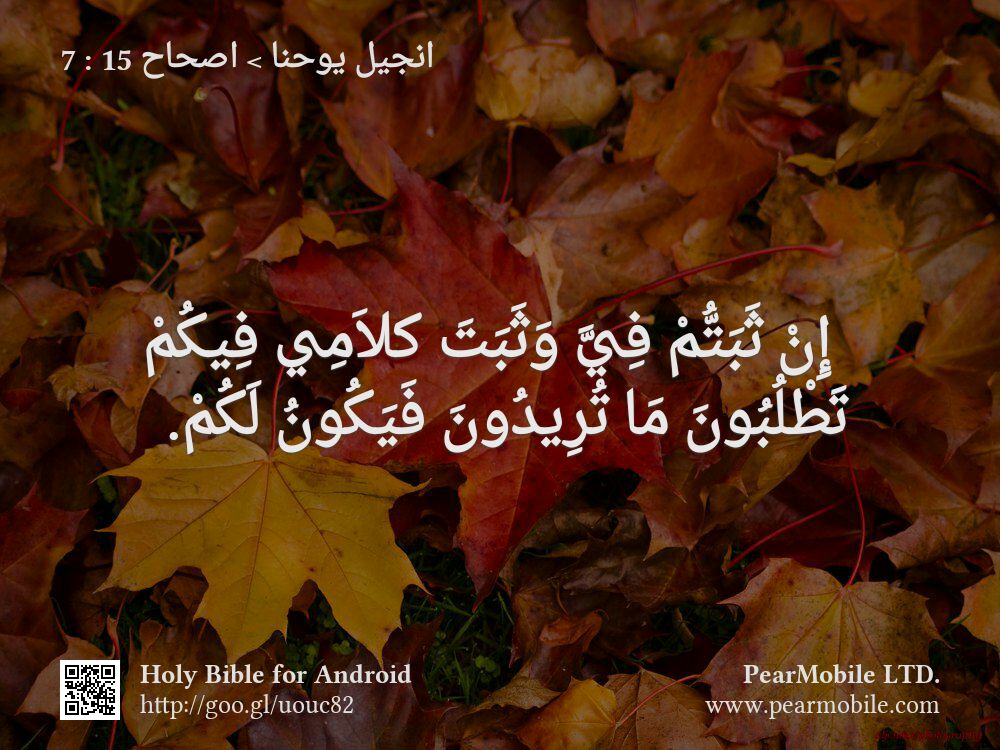 انجيل يوحنا, اصحاح 15:7