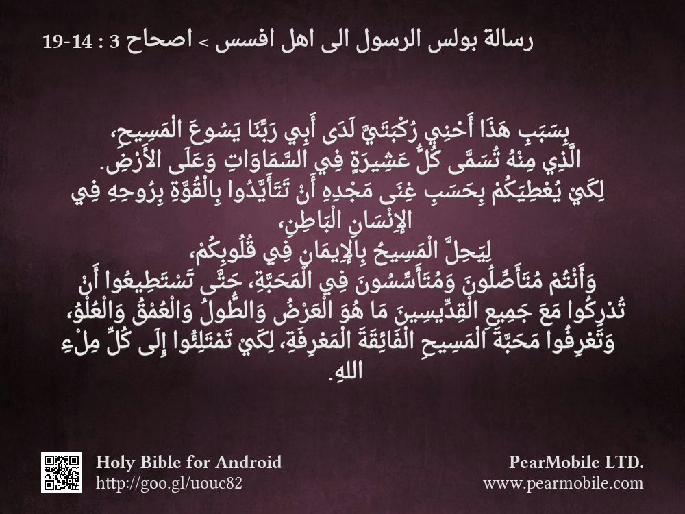 رسالة بولس الرسول الى اهل افسس, اصحاح 3:14-19