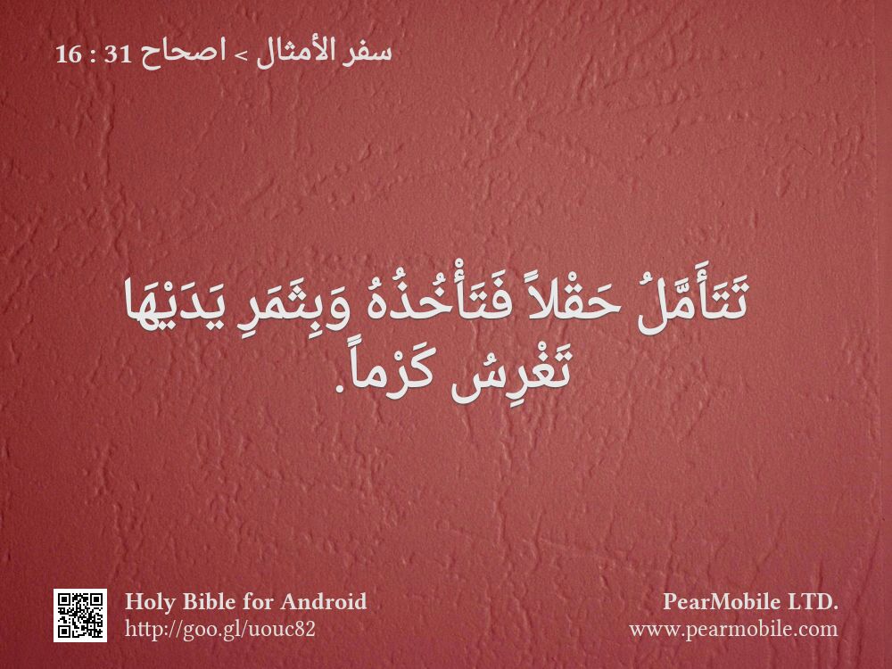 سفر الأمثال, اصحاح 31:16