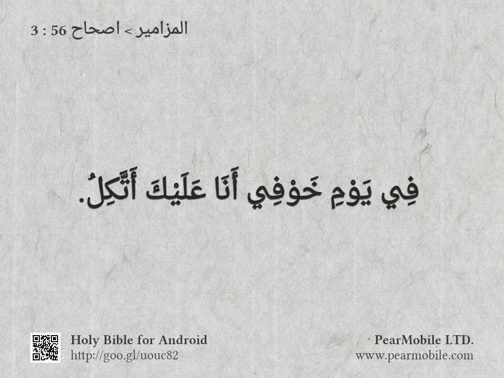 المزامير, اصحاح 56:3