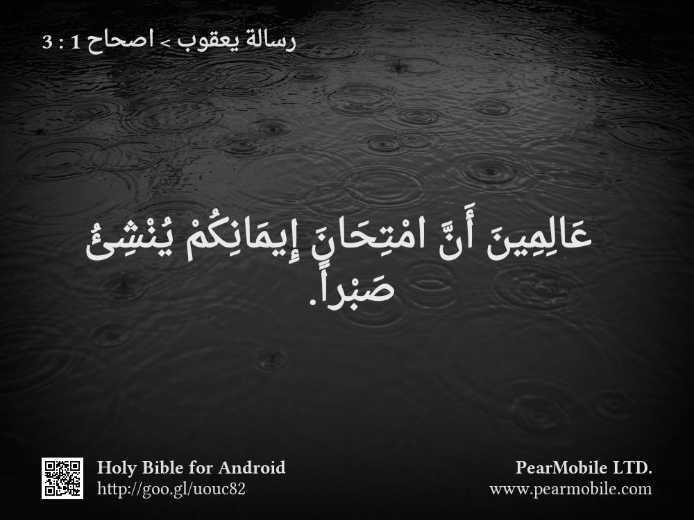 رسالة يعقوب, اصحاح 1:3