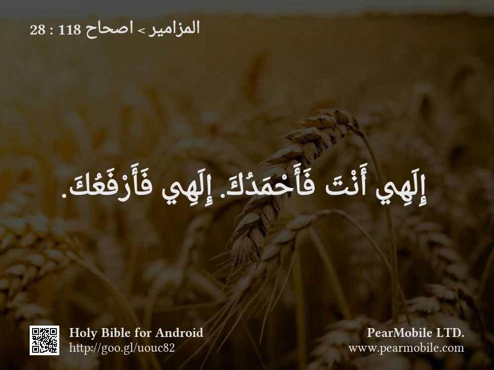 المزامير, اصحاح 118:28
