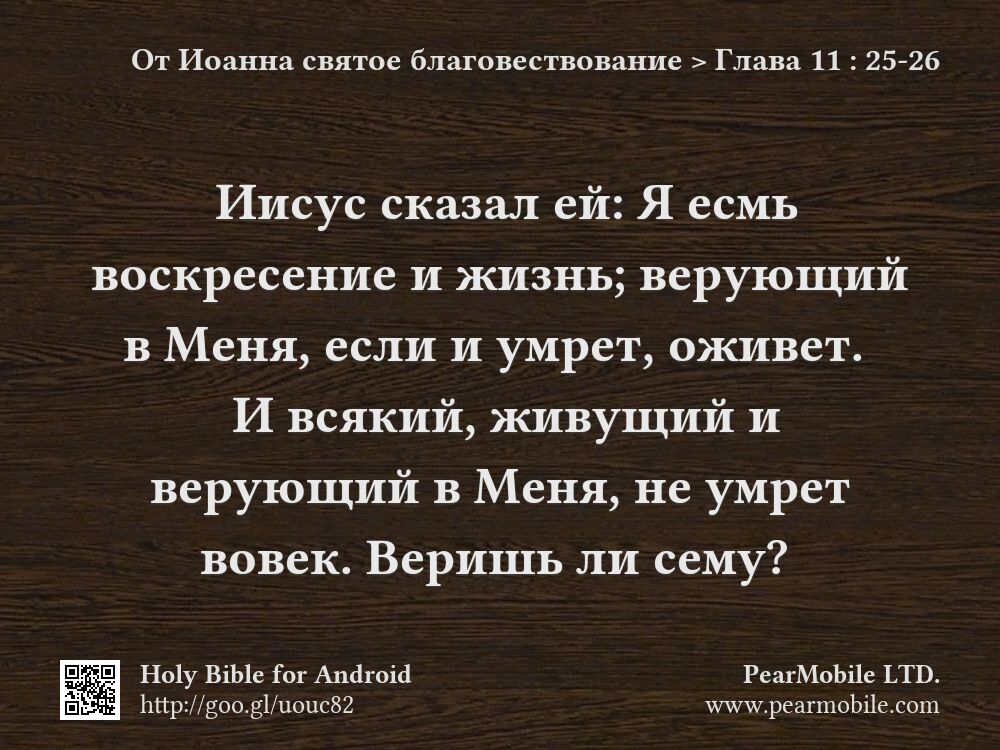 От Иоанна святое благовествование, Глава 11:25-26