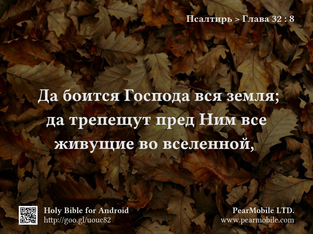 Псалтирь, Глава 32:8