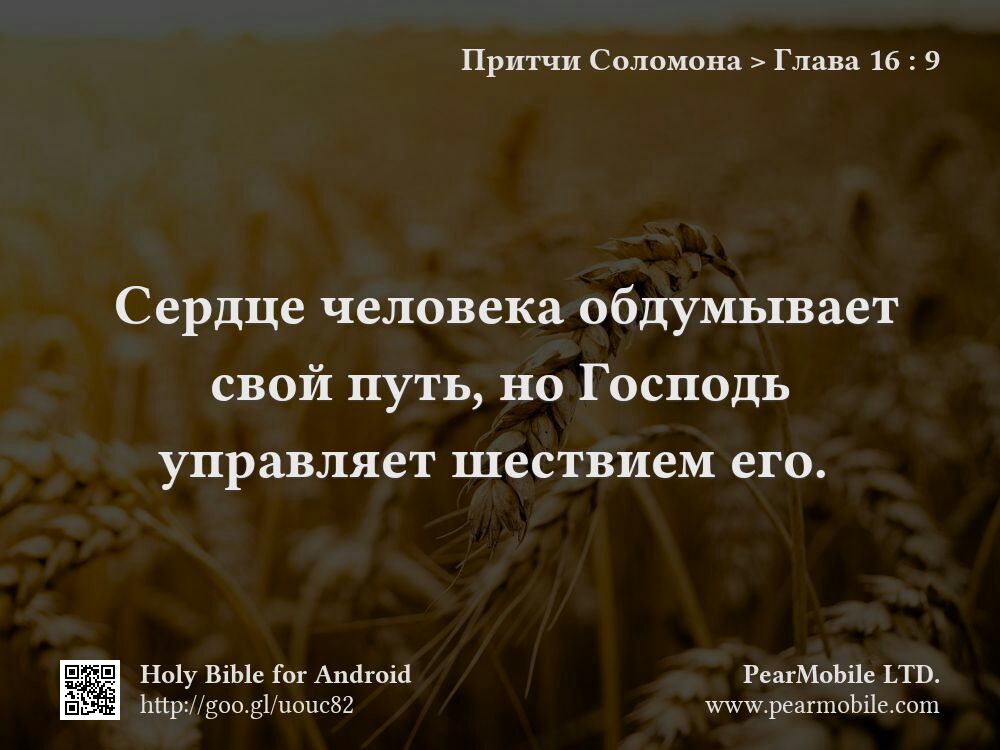 Притчи Соломона, Глава 16:9
