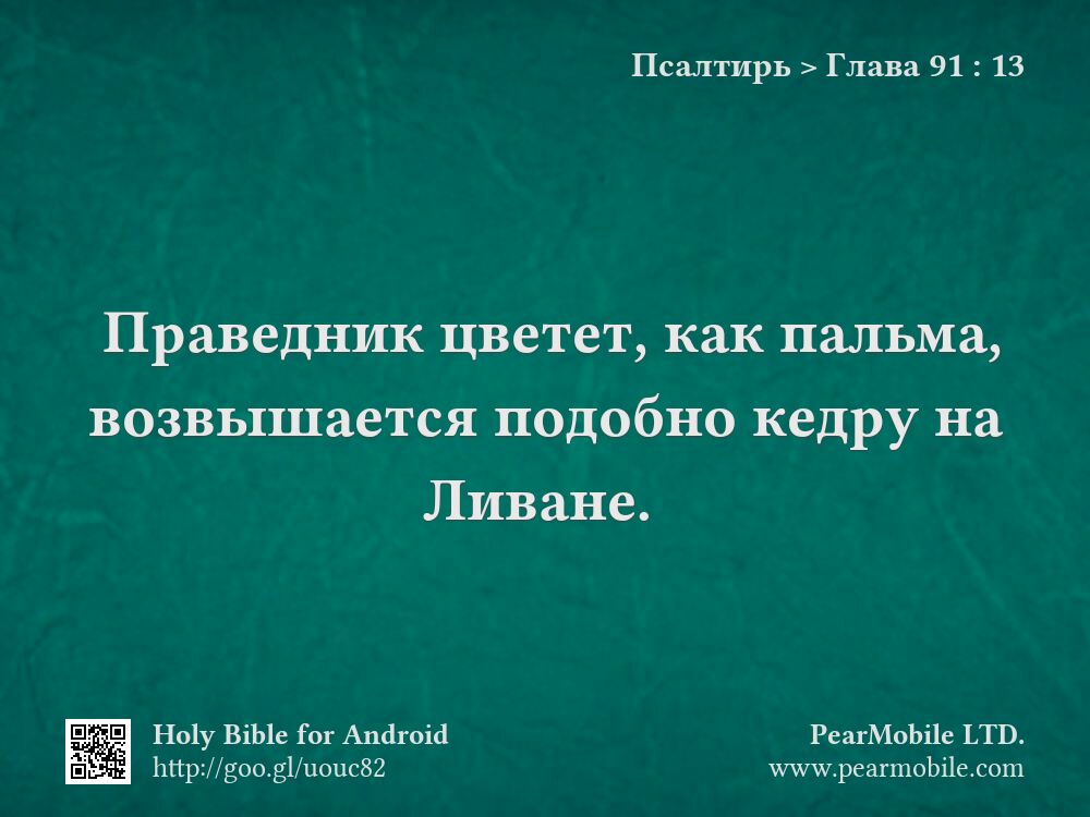 Псалтирь, Глава 91:13