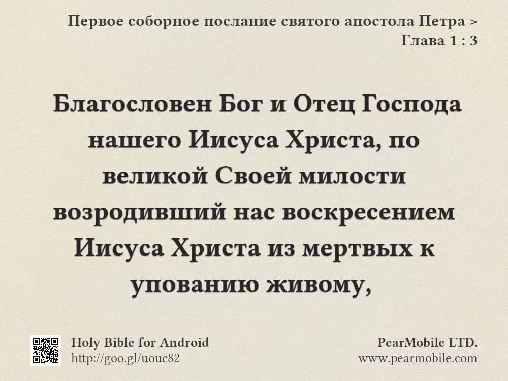 Первое соборное послание святого апостола Петра, Глава 1:3