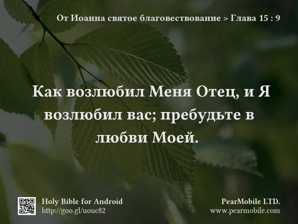 От Иоанна святое благовествование, Глава 15:9