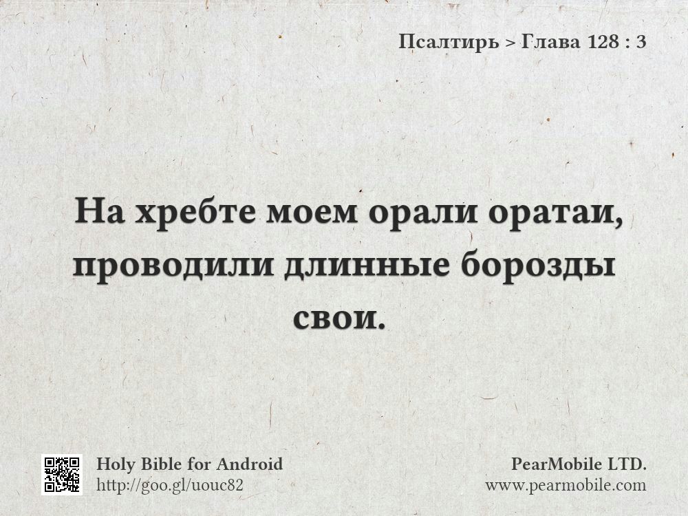 Псалтирь, Глава 128:3