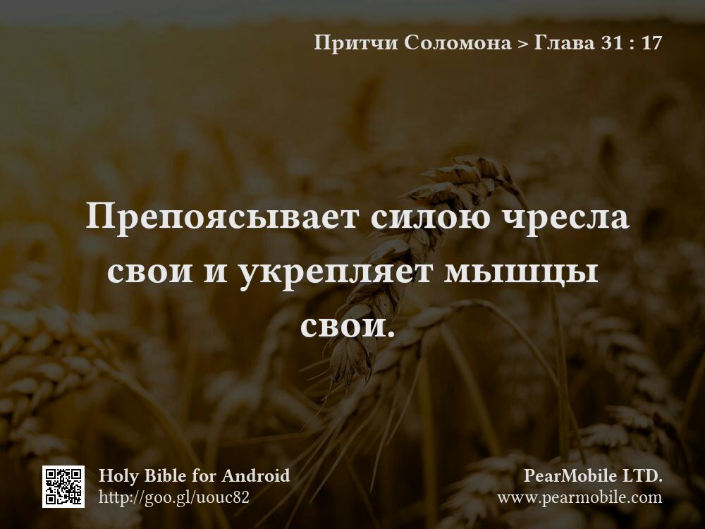 Притчи Соломона, Глава 31:17