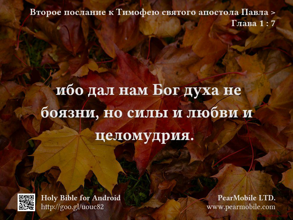 Второе послание к Тимофею святого апостола Павла, Глава 1:7