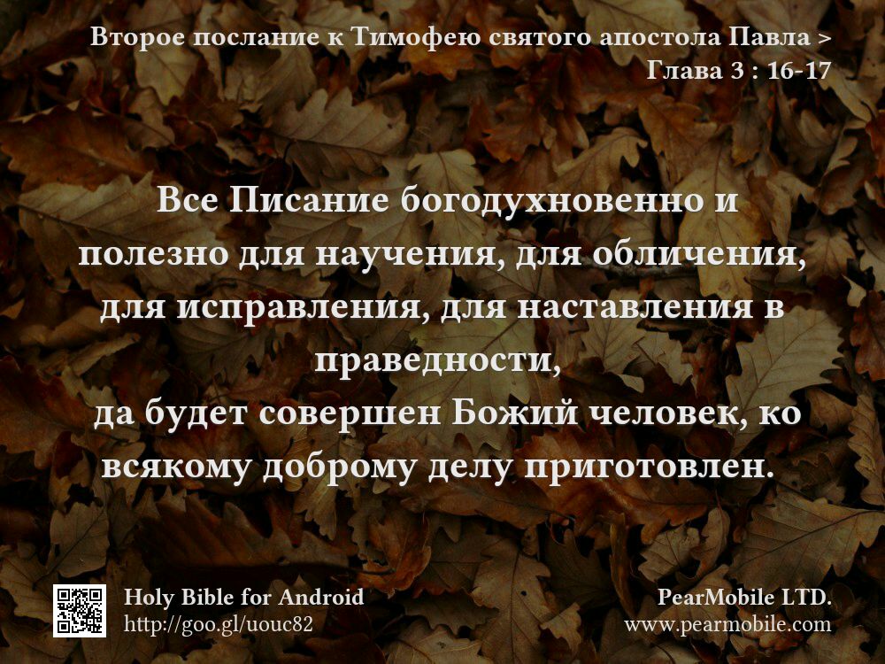 Второе послание к Тимофею святого апостола Павла, Глава 3:16-17