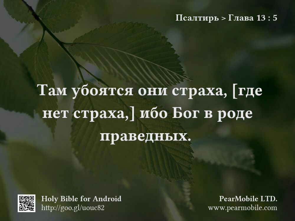 Псалтирь, Глава 13:5