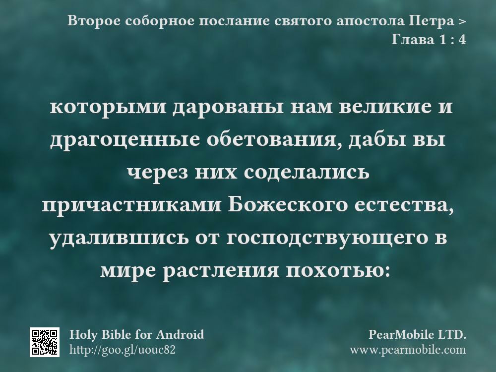 Второе соборное послание святого апостола Петра, Глава 1:4