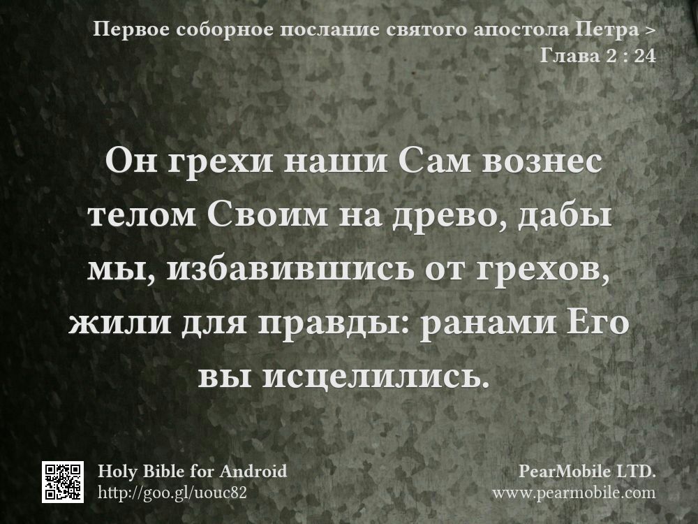Первое соборное послание святого апостола Петра, Глава 2:24