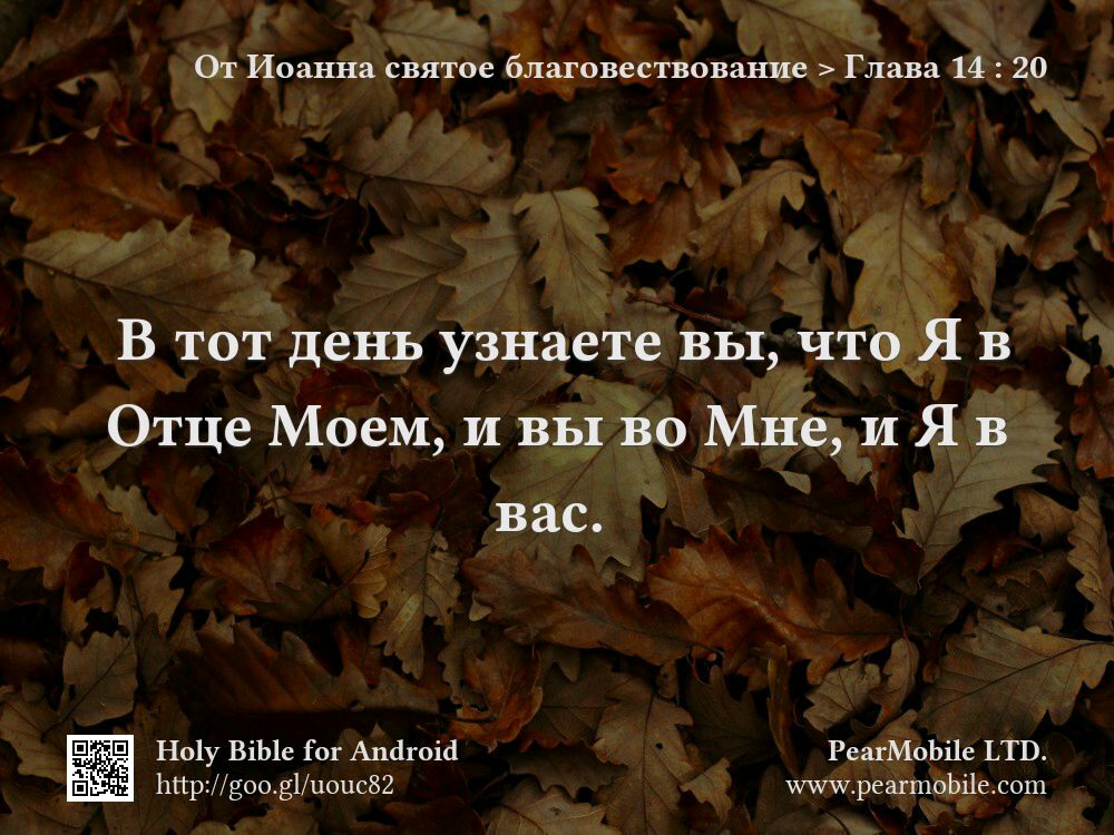 От Иоанна святое благовествование, Глава 14:20