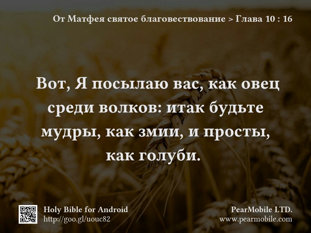 От Матфея святое благовествование, Глава 10:16