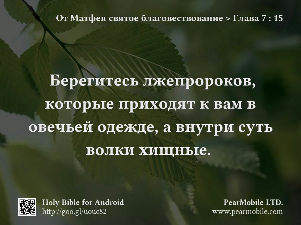 От Матфея святое благовествование, Глава 7:15