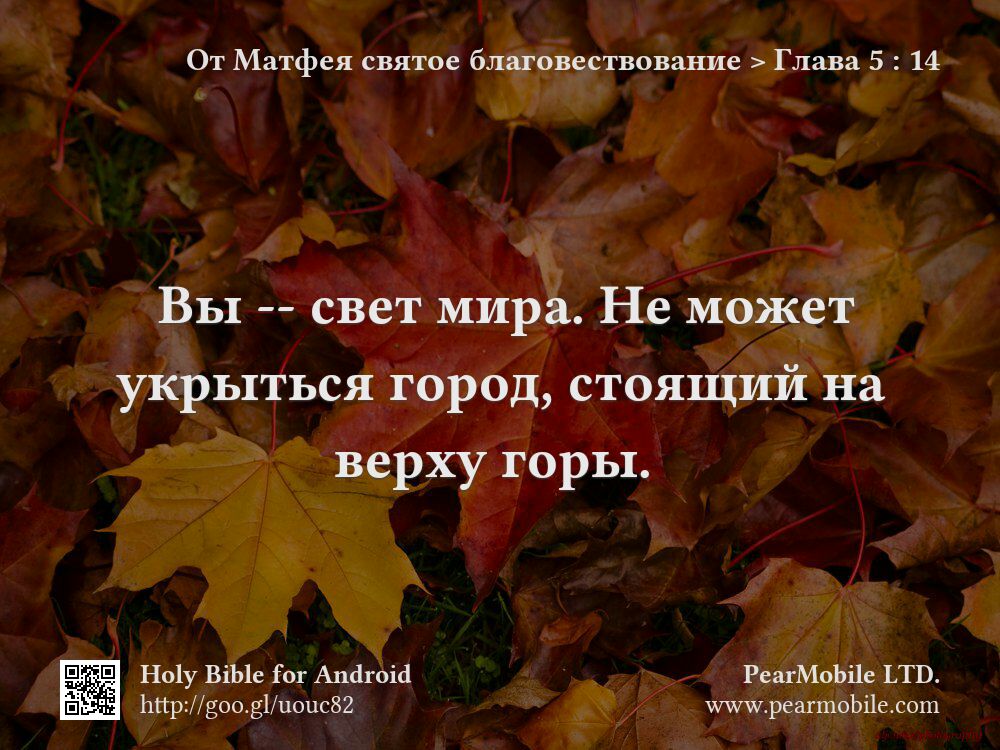 От Матфея святое благовествование, Глава 5:14