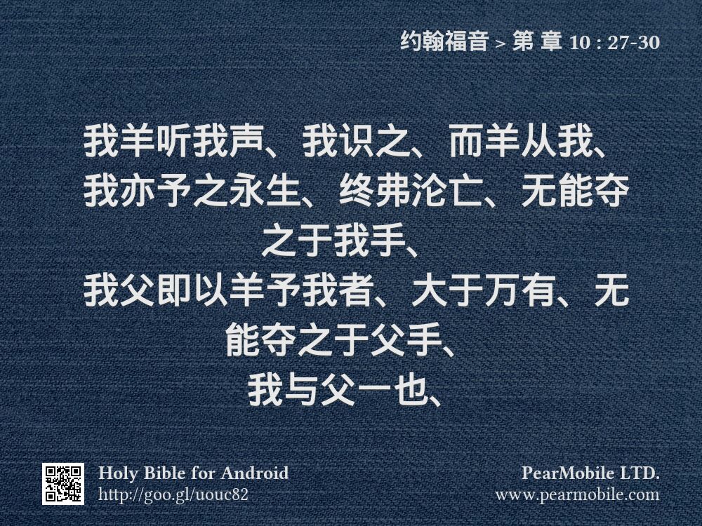 约翰福音, 第 章 10:27-30