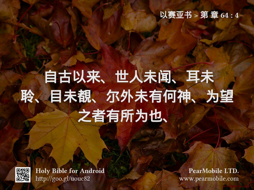 以赛亚书, 第 章 64:4