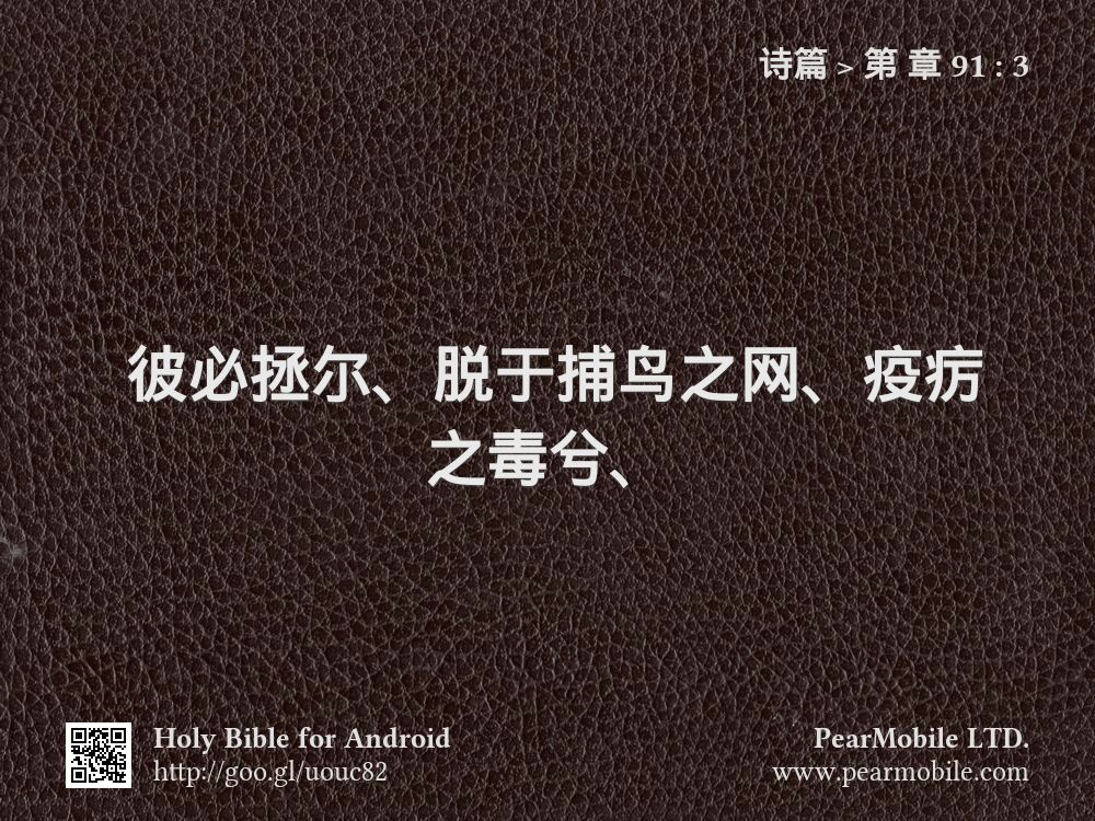 诗篇, 第 章 91:3