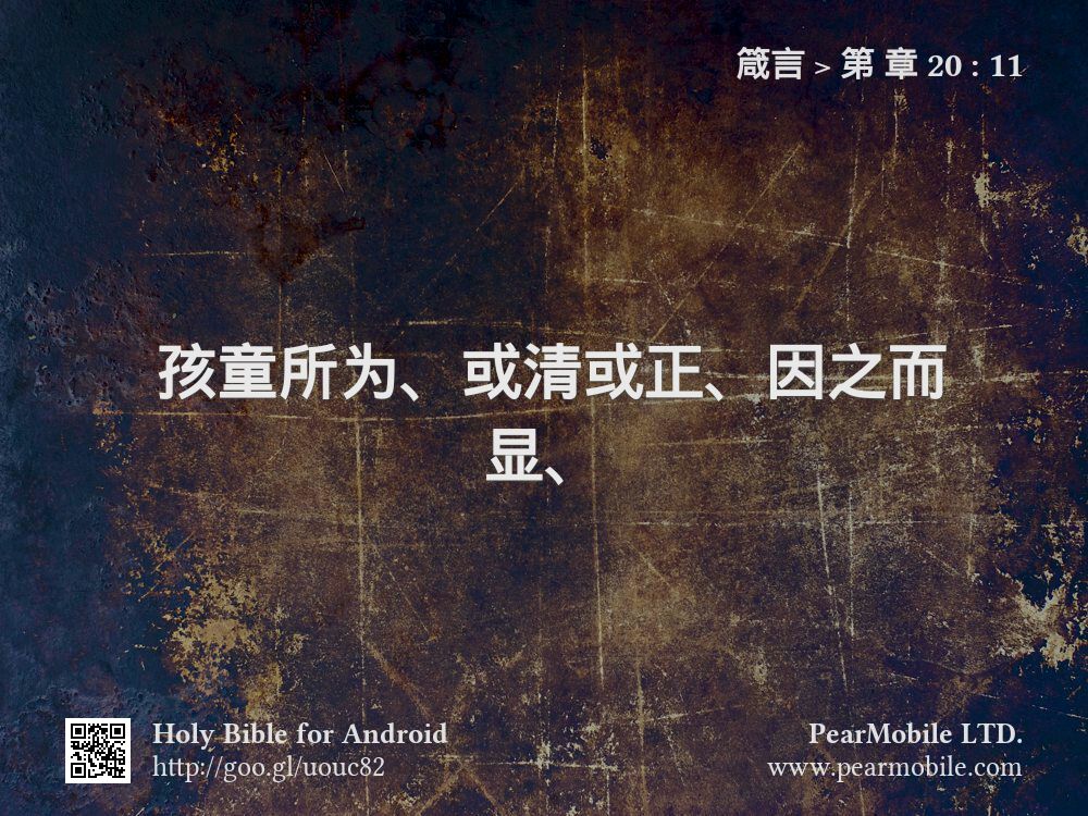 箴言, 第 章 20:11
