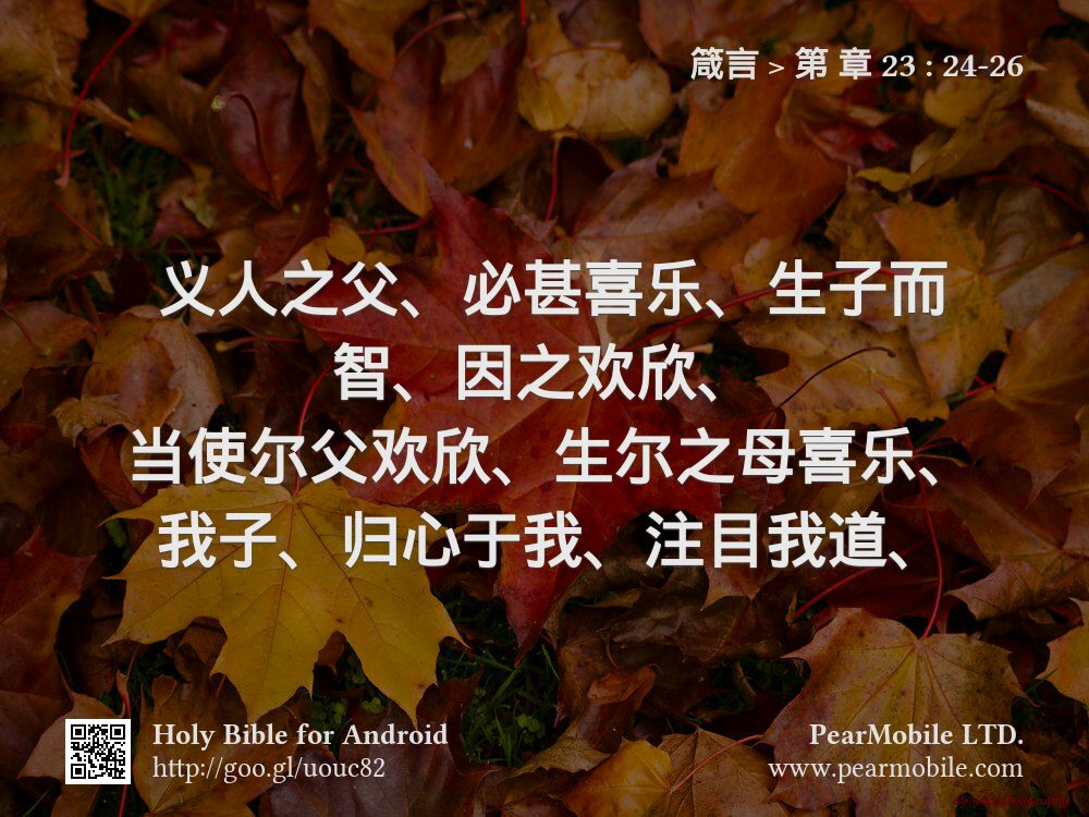 箴言, 第 章 23:24-26