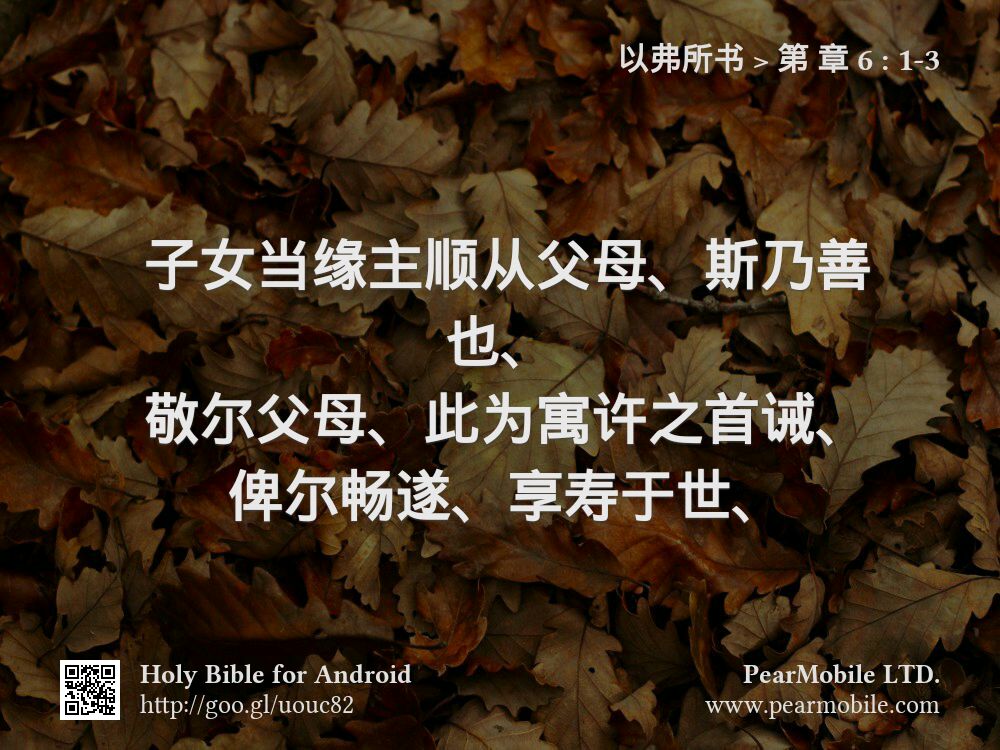 以弗所书, 第 章 6:1-3