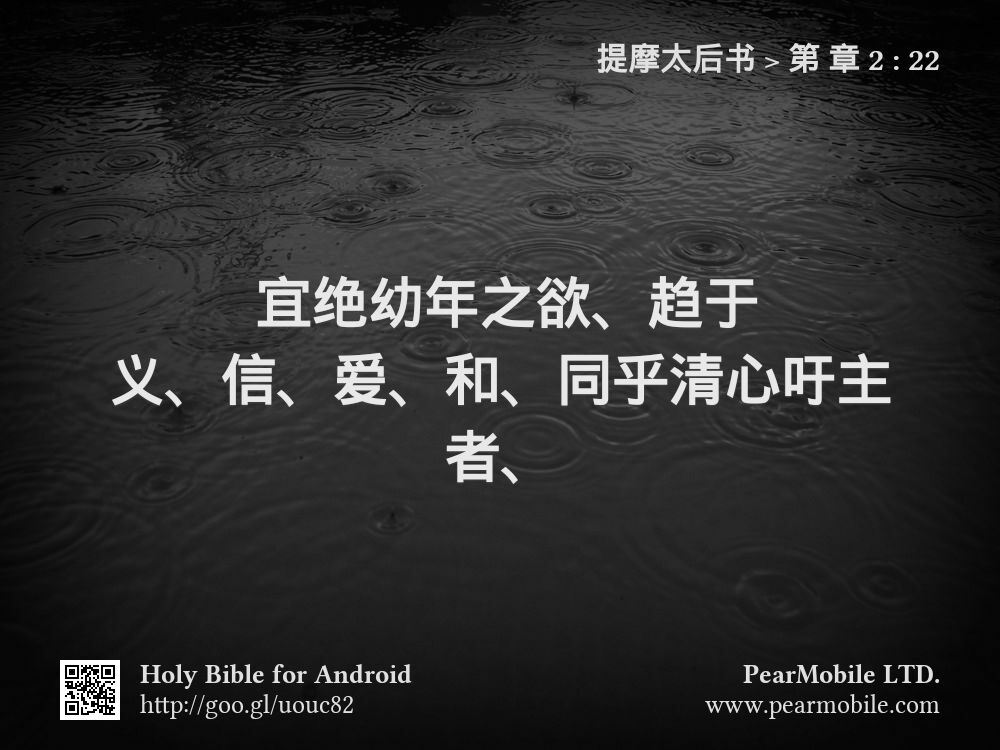 提摩太后书, 第 章 2:22