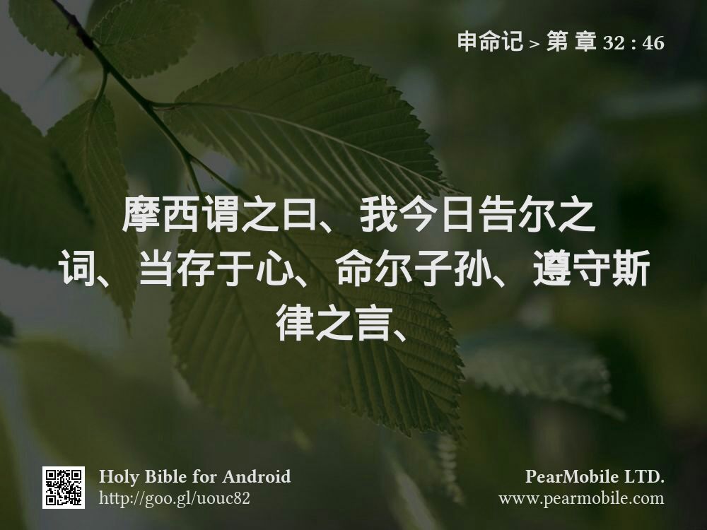 申命记, 第 章 32:46