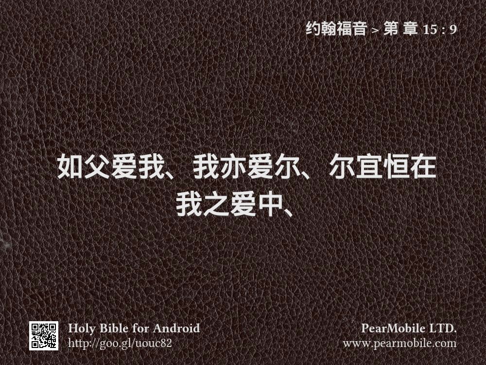 约翰福音, 第 章 15:9
