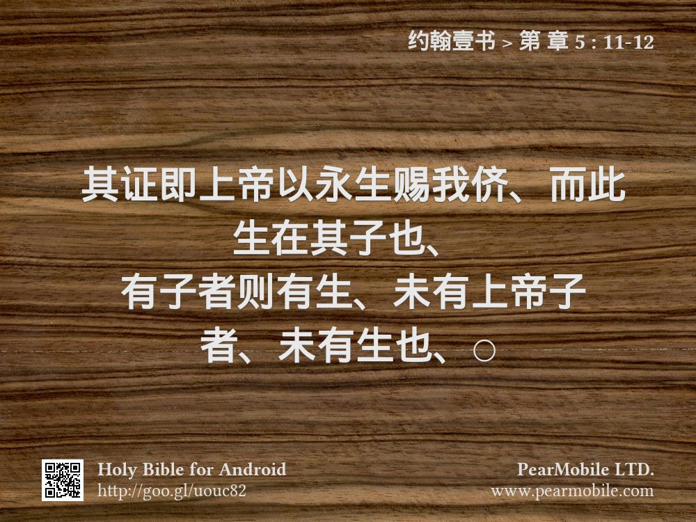 约翰壹书, 第 章 5:11-12