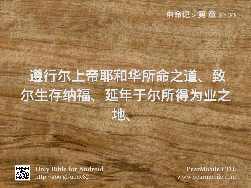 申命记, 第 章 5:33