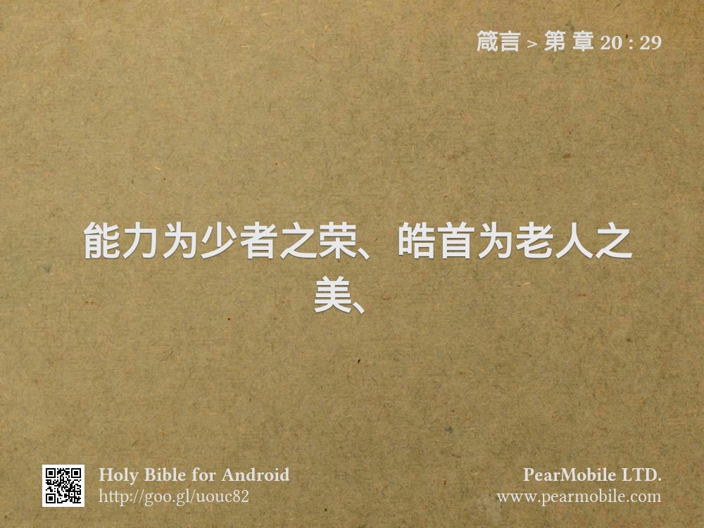 箴言, 第 章 20:29