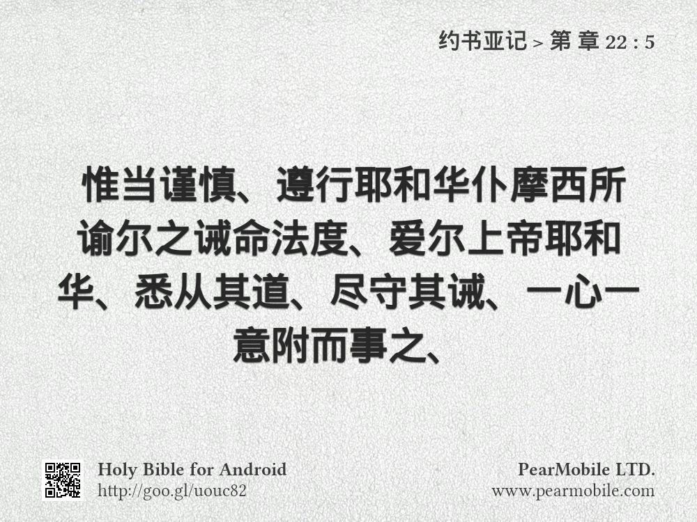 约书亚记, 第 章 22:5