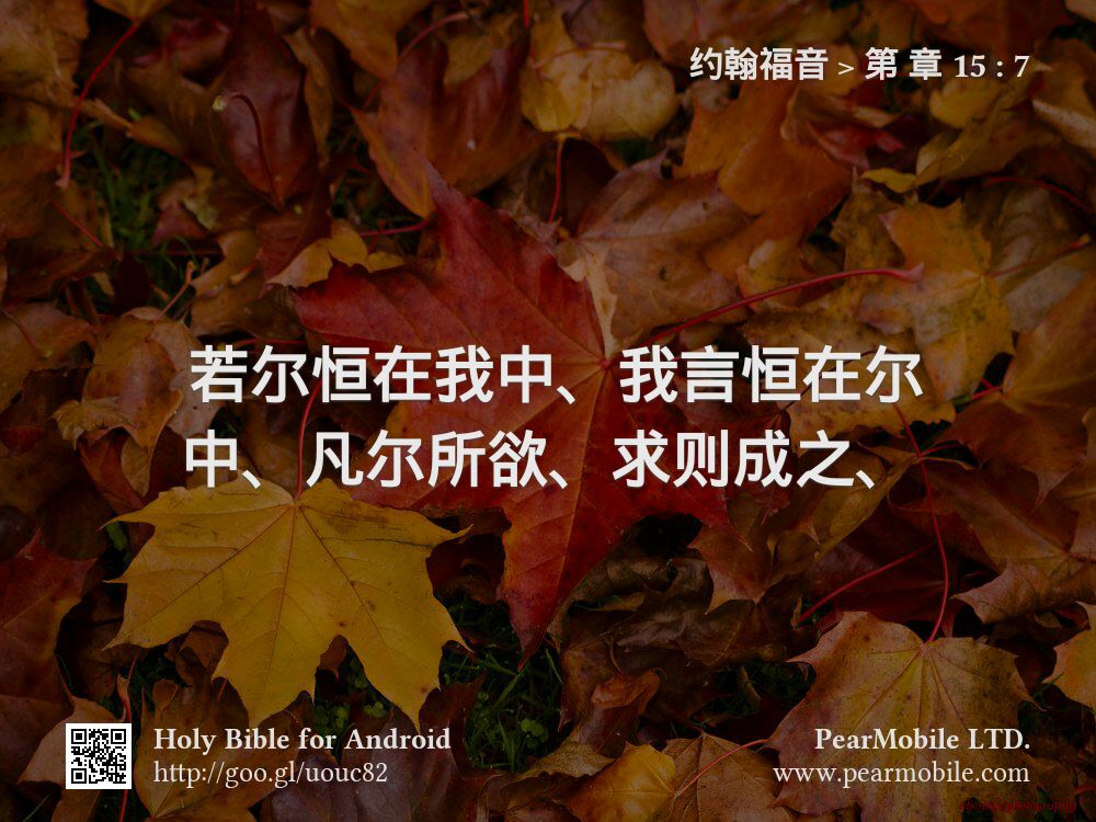 约翰福音, 第 章 15:7