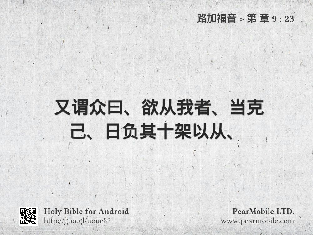 路加福音, 第 章 9:23