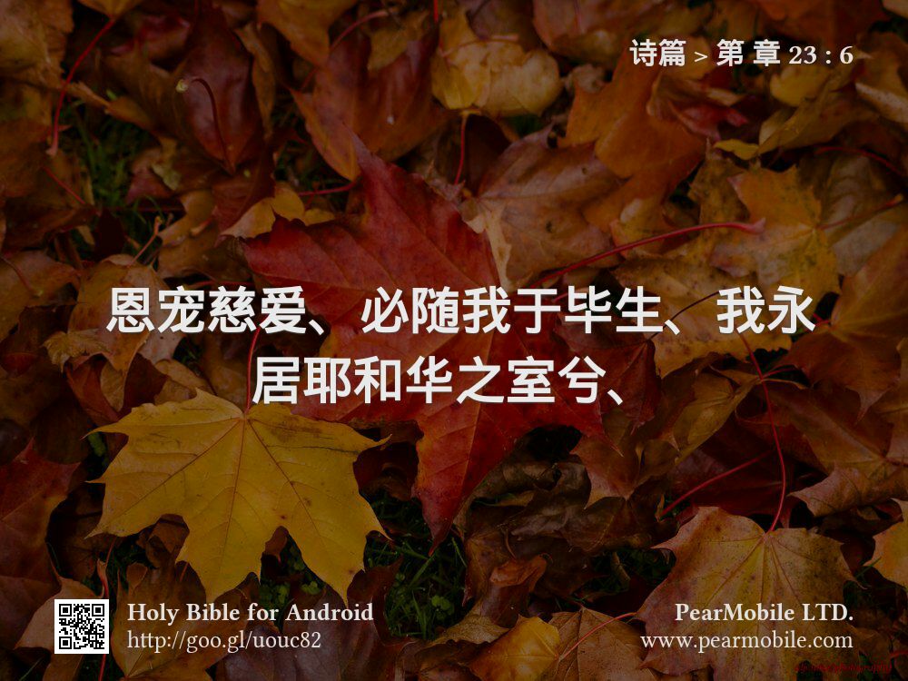 诗篇, 第 章 23:6
