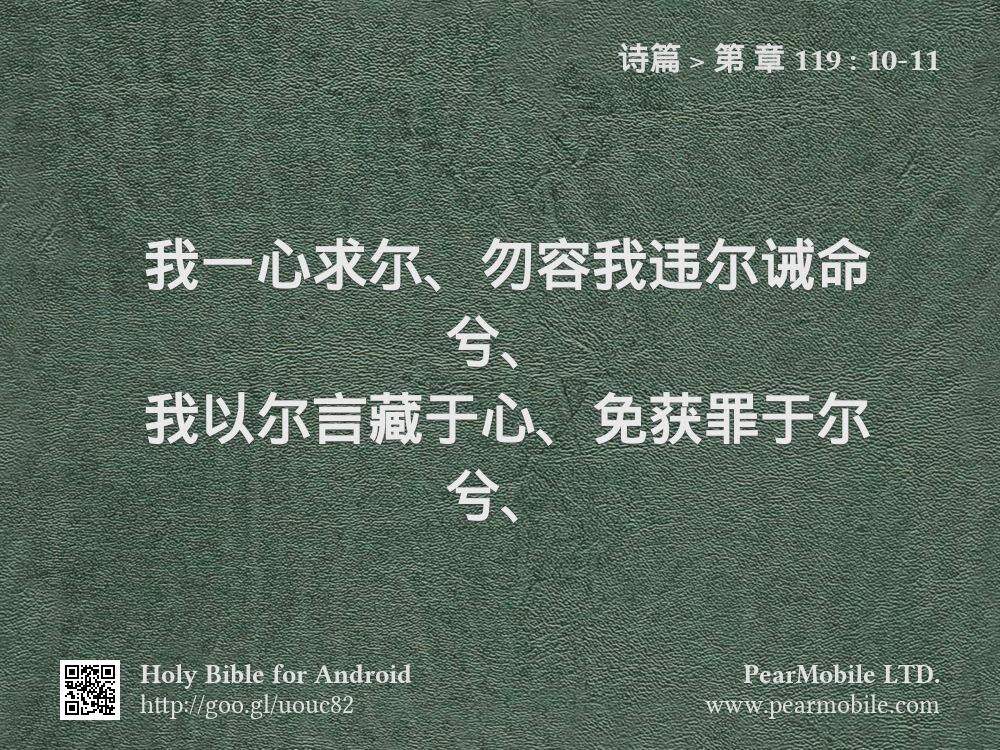 诗篇, 第 章 119:10-11
