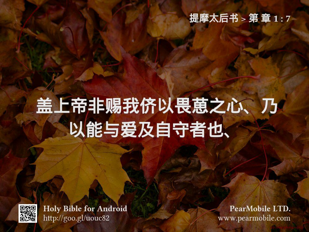 提摩太后书, 第 章 1:7