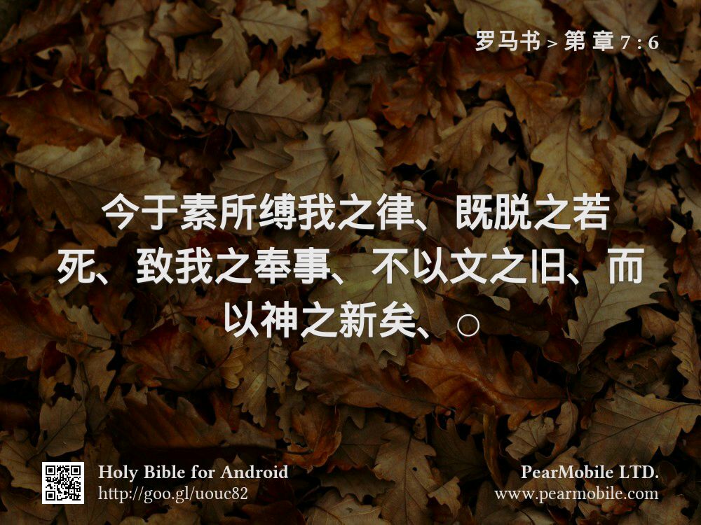 罗马书, 第 章 7:6