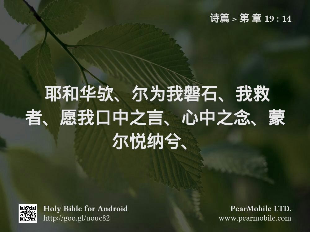诗篇, 第 章 19:14