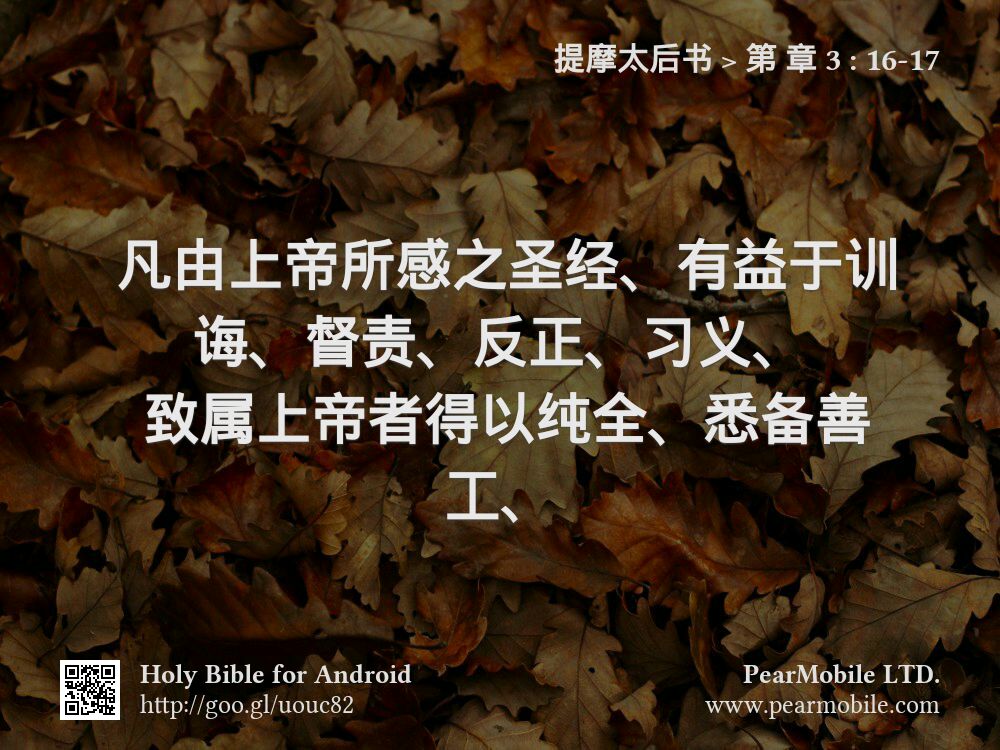 提摩太后书, 第 章 3:16-17