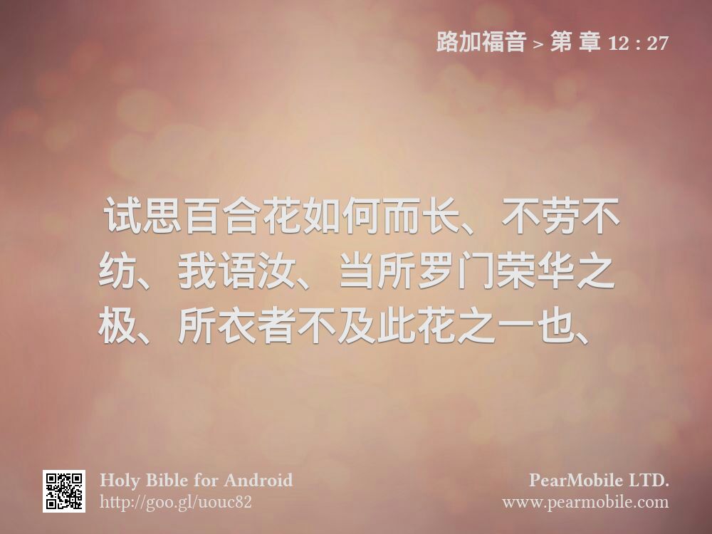 路加福音, 第 章 12:27